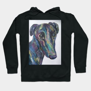 Colourful black greyhound lurcher Hoodie